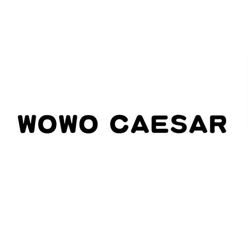 WOWOCAESAR
