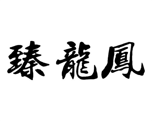 臻龙凤