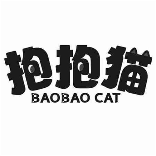 抱抱猫