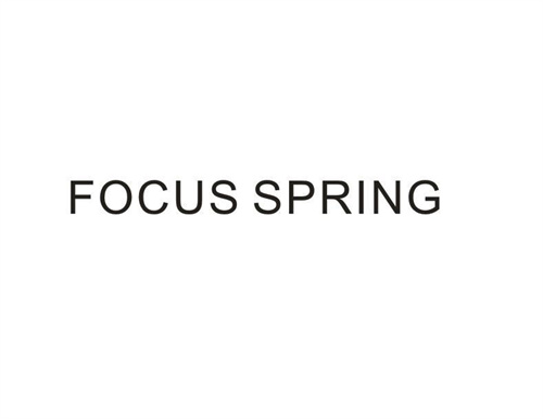FOCUSSPRING