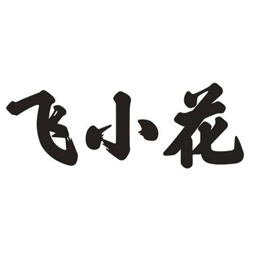 飞小花