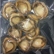 Abalone dryer