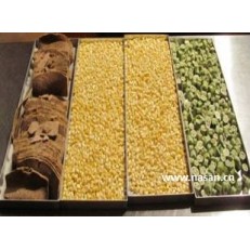 Vacuum Freeze Food Dryer