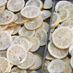 fruit dryer