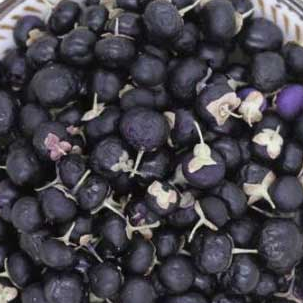 Lycium ruthenicum dryer