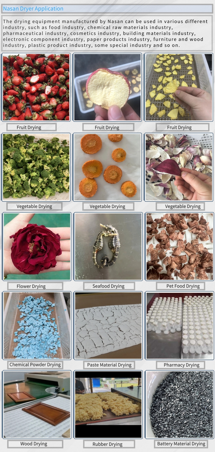 Industrial Fruit Drying Equipment