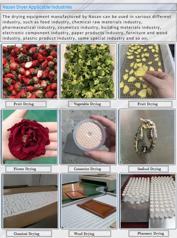 Fruit Vacuum Microwave Dryer