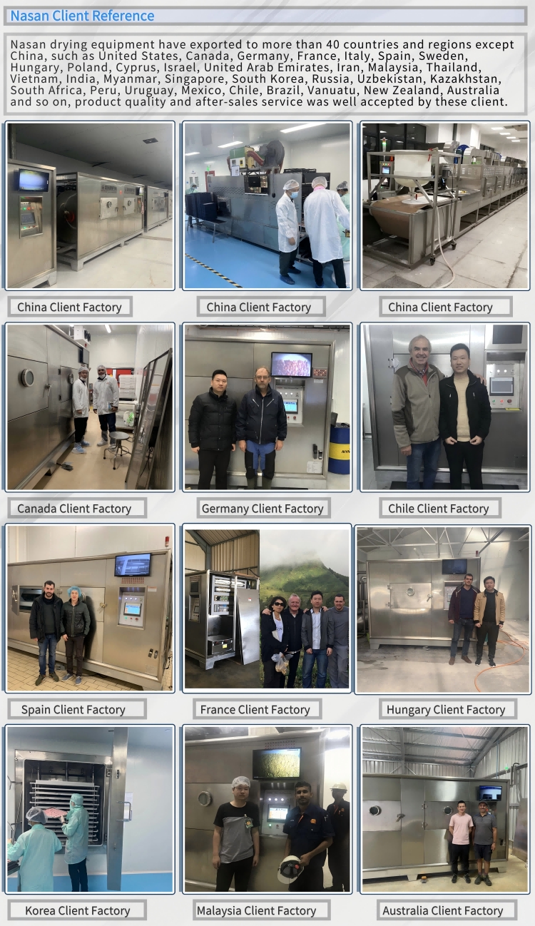 Hot Air + Microwave Dryer