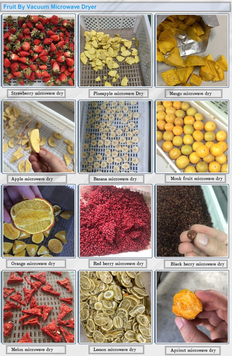 Drying Fruits Microwave Fruit Dehydrator