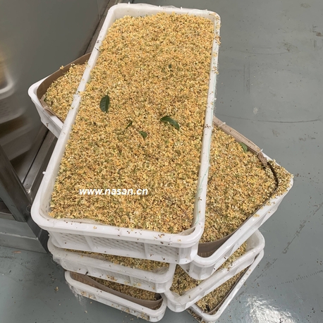 Osmanthus fragrans Lour Dryer