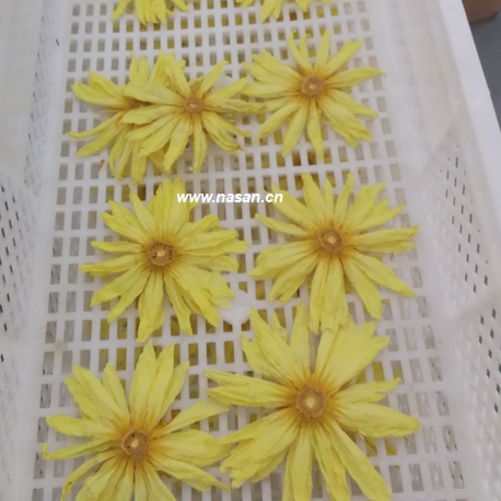 flower dehydrator