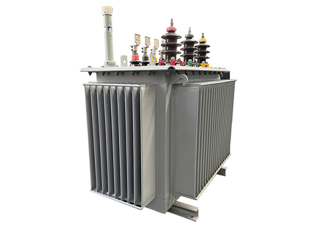 Oil immersed series transformer