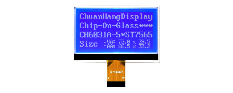 LCD factory