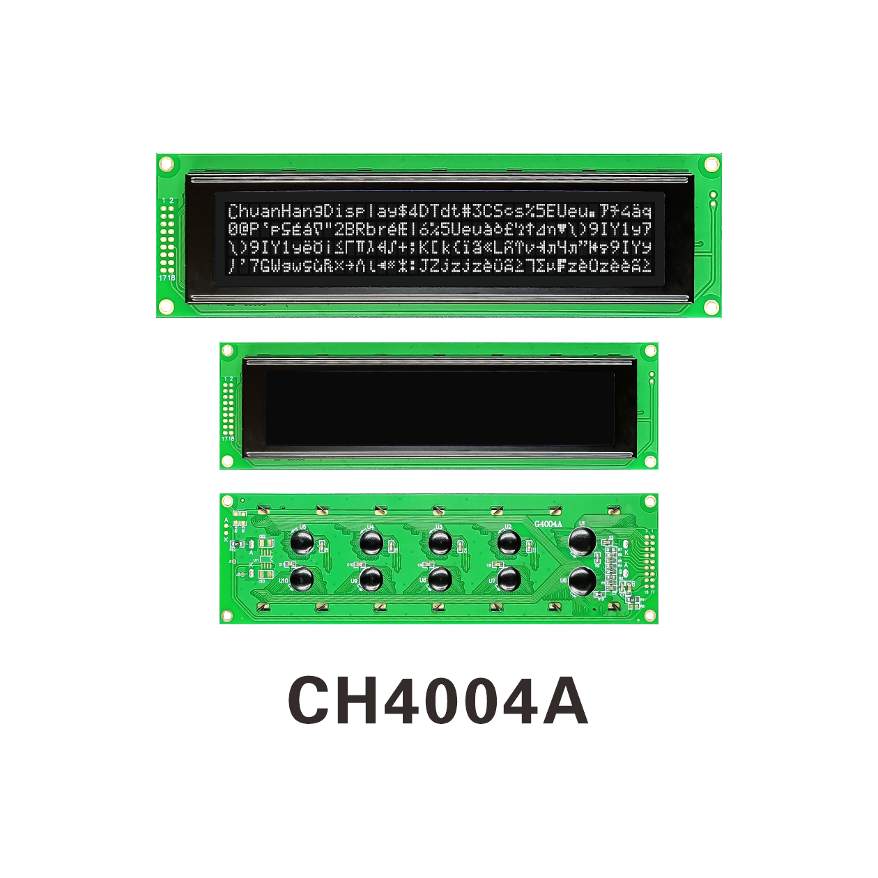 4004 lcd module