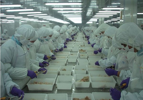 食品厂净化车间