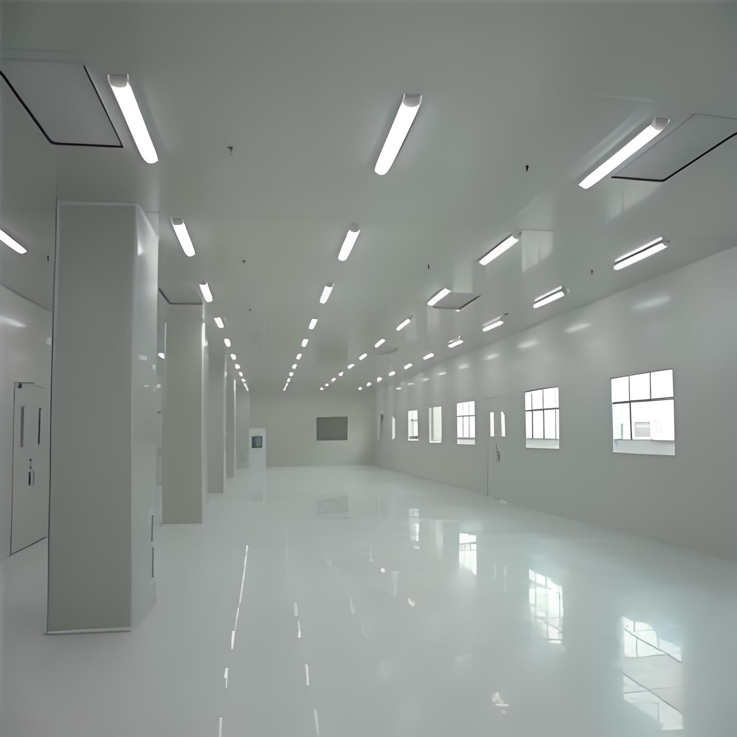Injection molding purification project
