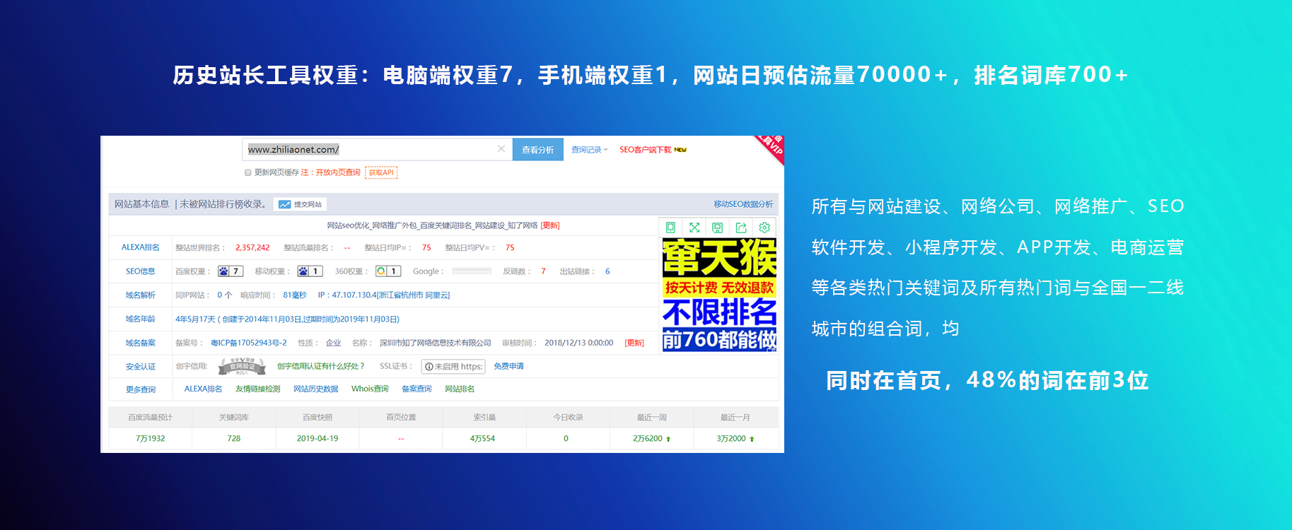 谷歌SEO