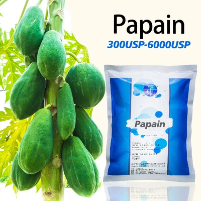 Papain Enzymes