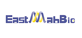 Logo1