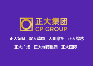 正大集团SEO优化合作